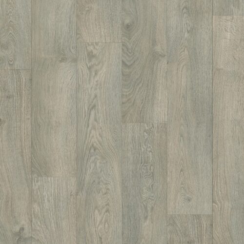 Oude lichtgrijze eik