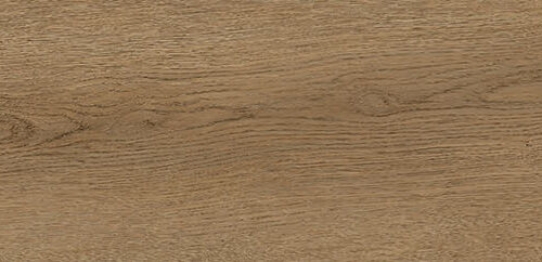 Dorset Roble