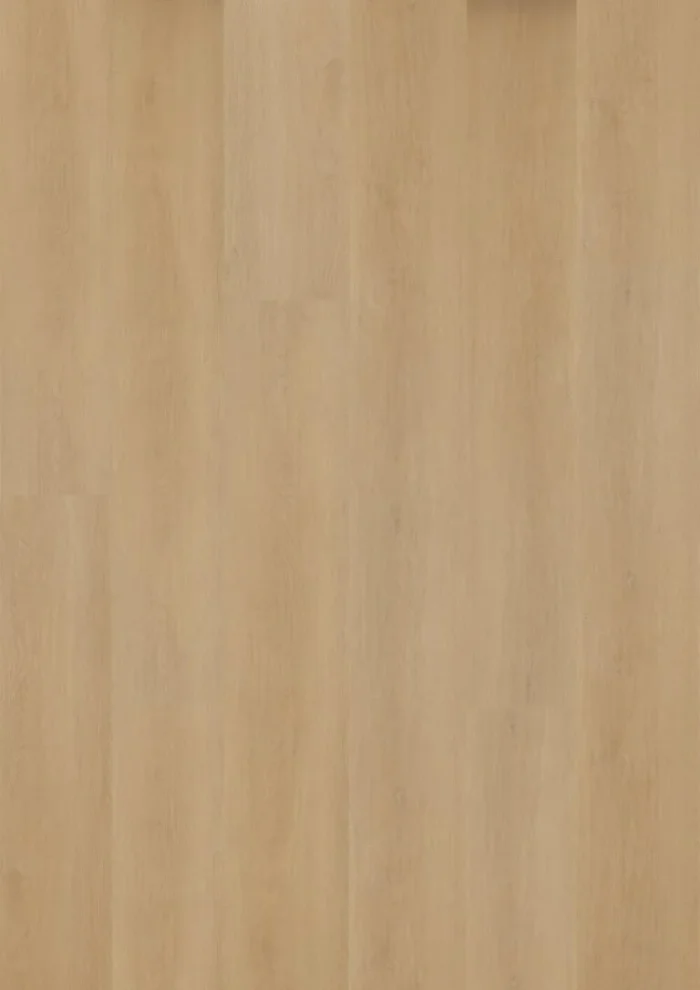 Prestige Dryback plank Cannes 5052