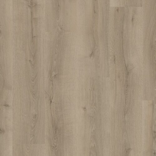 Woestijn geborstelde grijze eik