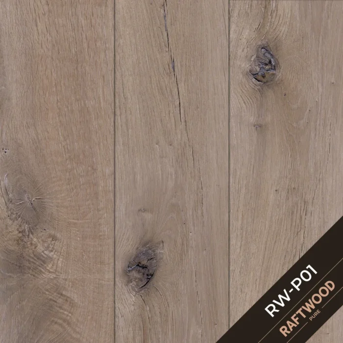 RW-P01