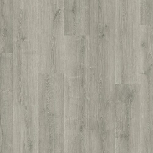 Geborstelde grijze eik