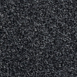 CREATOR: gd-jpeg v1.0 (using IJG JPEG v62), quality = 80 blackline raven
